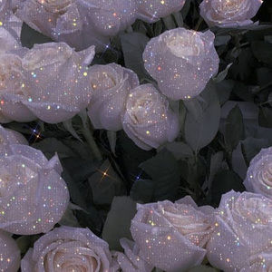 Meet your Posher, Temi